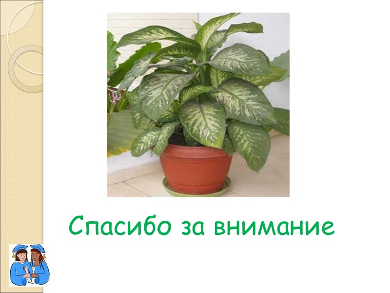 Спасибо за внимание